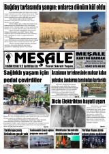 MEŞALE