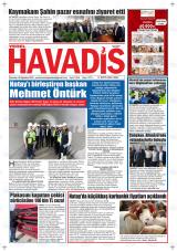 YEREL HAVADİS