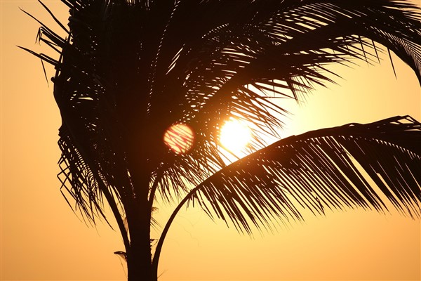 Hava sıcaklıkları mevsim normallerinin üzerinde seyredecek