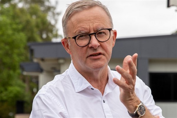 Albanese: Avustralya genelinde evler inşa ediyoruz