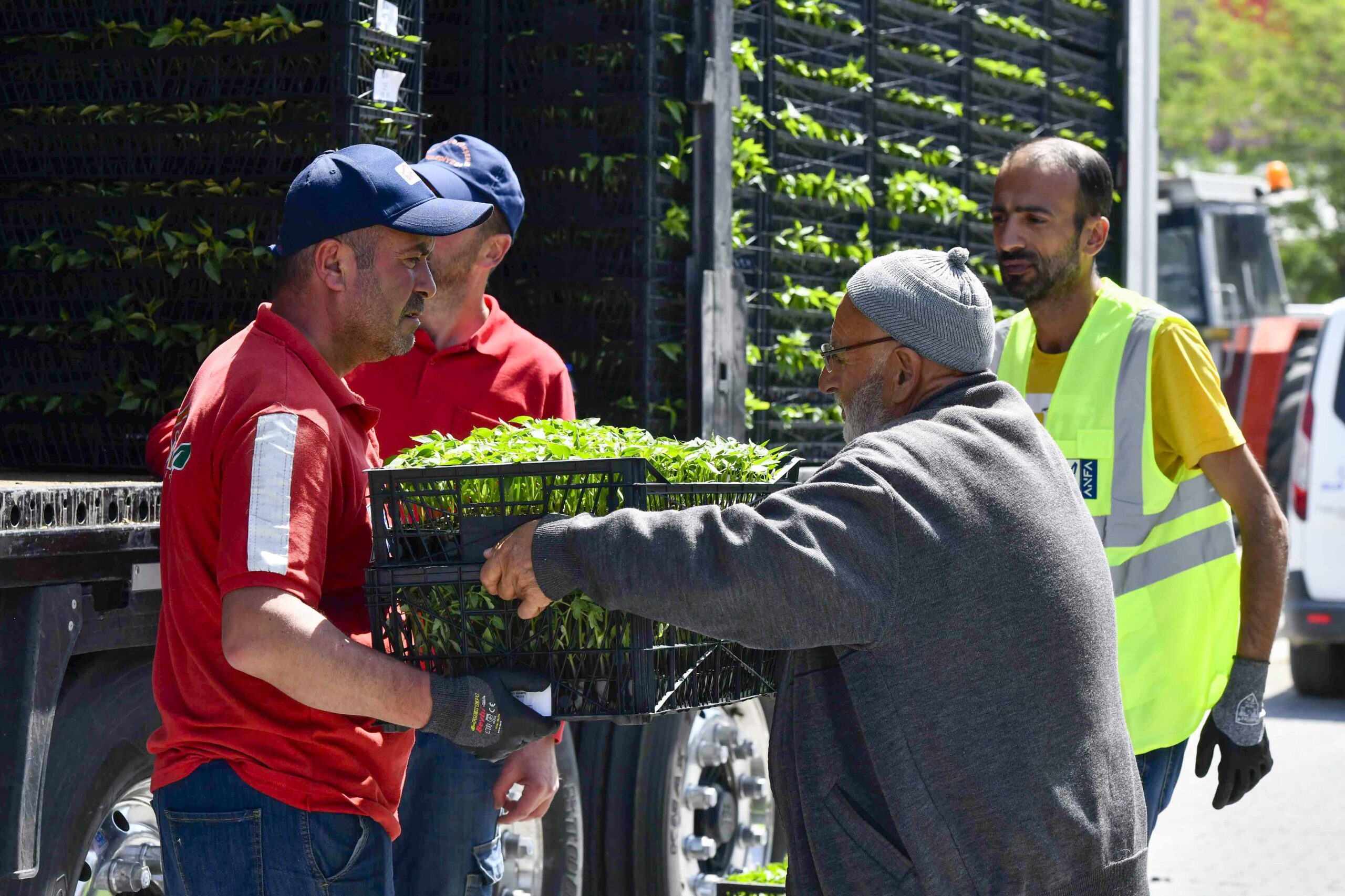 Ankara’da sebze fidesi desteğinin dağıtımına başlandı