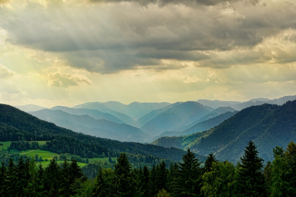 Çanakkale’de ormanlara giriş yasaklandı