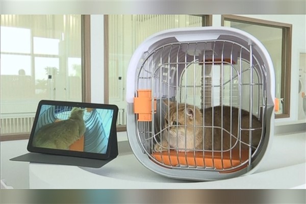 Çin’deki ilk “evcil hayvan dostu terminal” hizmete girdi