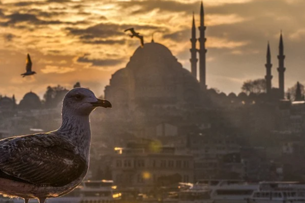 Denizcilik Genel Müdürlüğü, İstanbul’un Fethi’nin 571’inci yılını kutladı