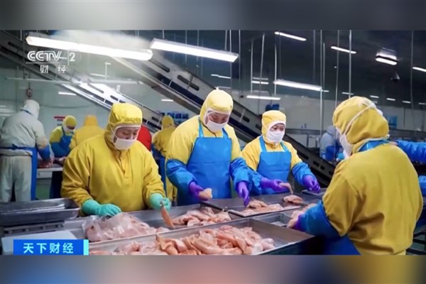 Dünyada yemek malzemelerinin dörtte biri Çin’de üretiliyor