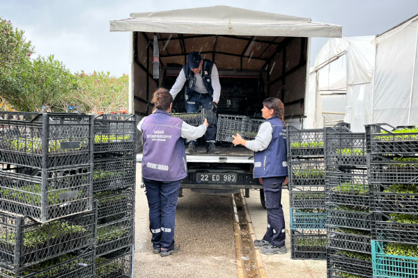 Eskişehir’den yerel tohum fidesi konusunda dayanışma