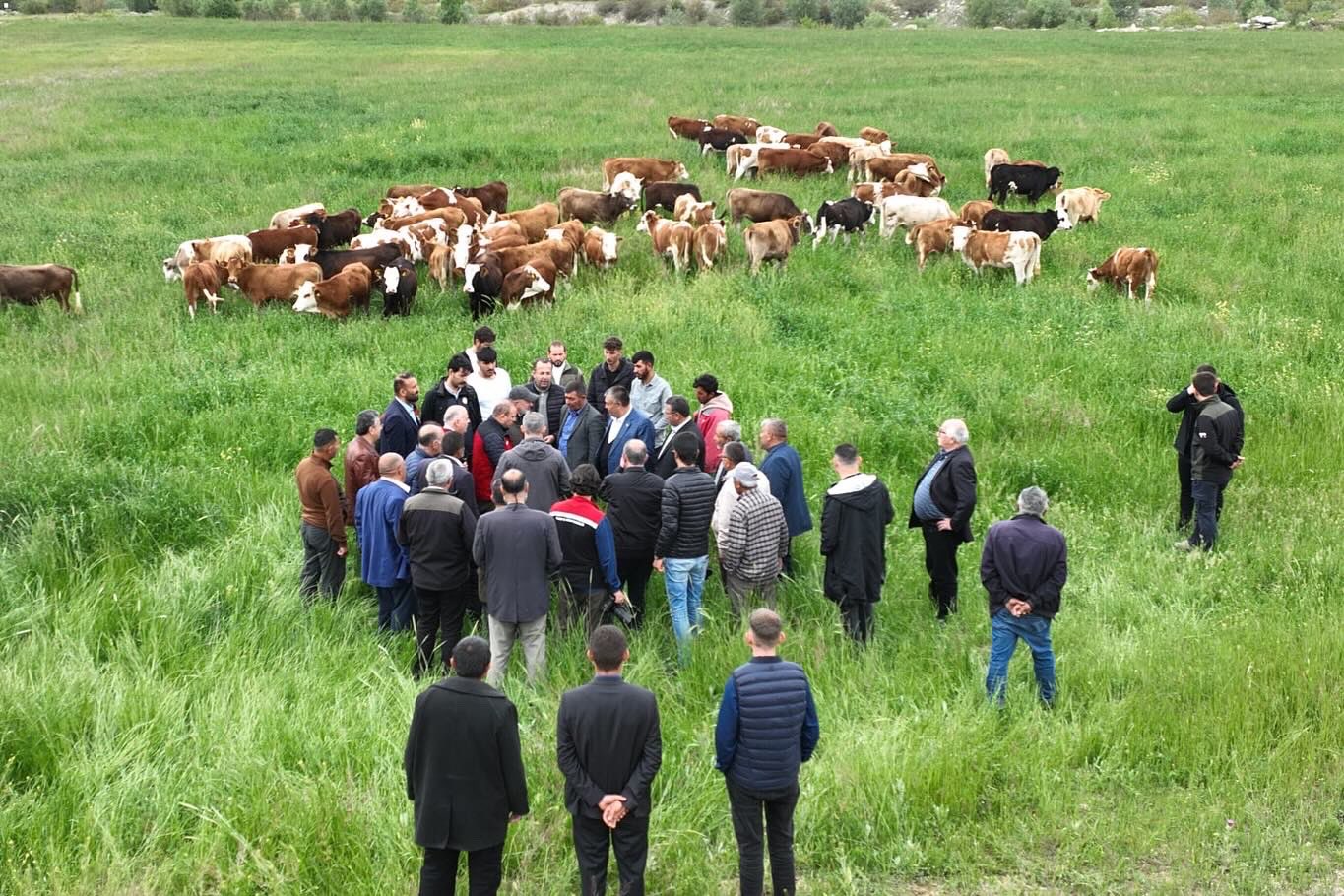Kayseri’de 600 dekar araziye tekrar mera vasfı kazandırıldı