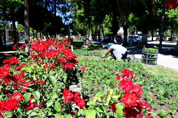 Malatya’da park ve yeşil alanlarda peyzaj çalışmaları sürdürülüyor