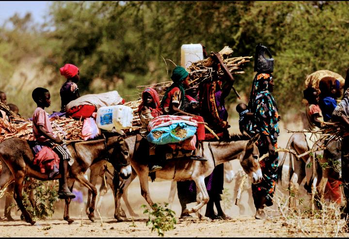 Sudan El-Fasher’de son iki haftada çatışmalarda 700’den fazla kişi öldü