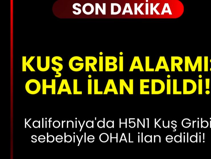 Kuş gribi pandemisi ilan edildi