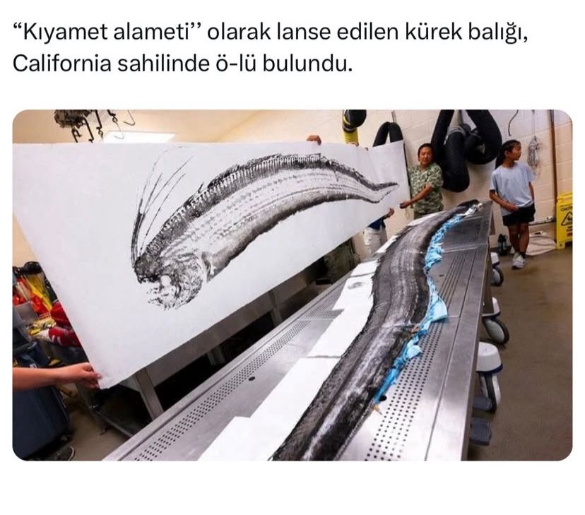 Felaket habercisi kıyıda!!