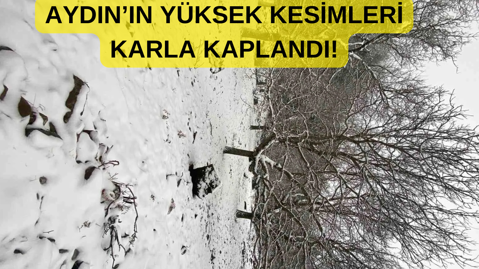 Aydın Kar Yağışı! Okullar Tatil Mi?