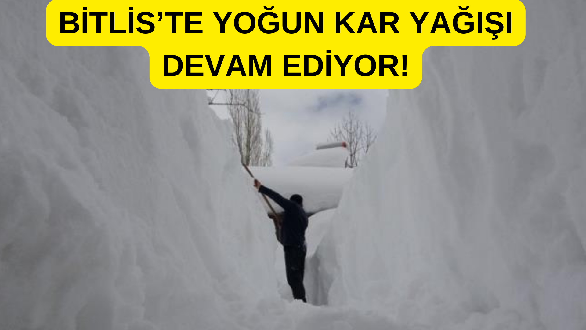 Bitlis Kar Yağışı! Okullar Tatil Mi?