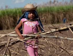 Çocukların Dijital İstismarı: Gerçekler ve Önlemler