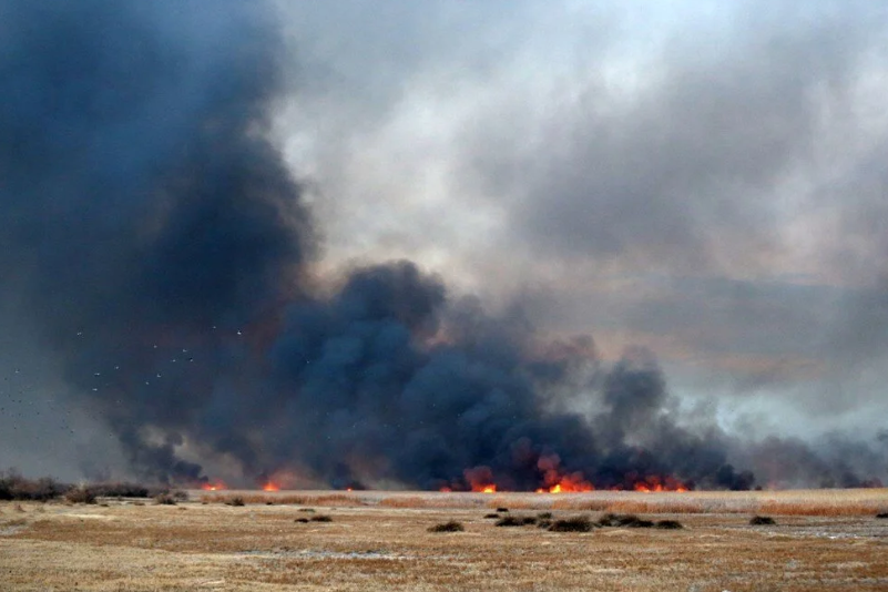 Kayseri’de Bulunan “Sultan Sazlığı Milli Parkı’nda Yangın”