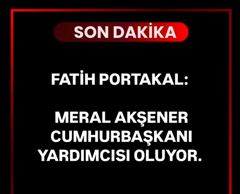 Meral Akşener, Cumhurbaşkanı Yardımcısı mı Oldu?