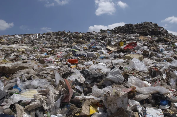 4 YAŞINDAKİ ÇOCUĞUNU ÖLDÜRÜP ÇÖPE ATTI!