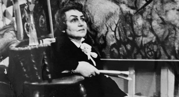 Şakir Paşa Ailesi Dizisi, Fahrünnisa Zeyd Kimdir?