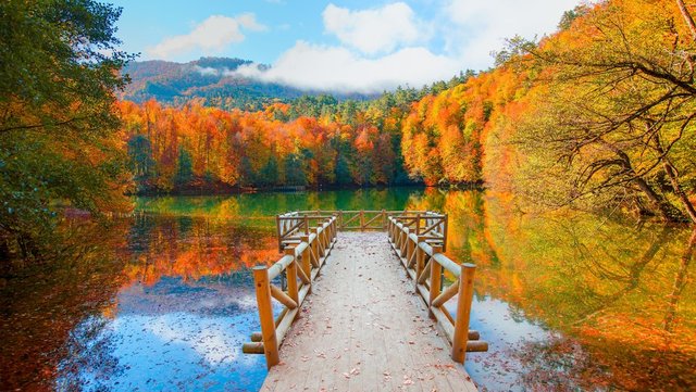 SEYAHAT ADRESİ: BOLU, YEDİGÖLLER