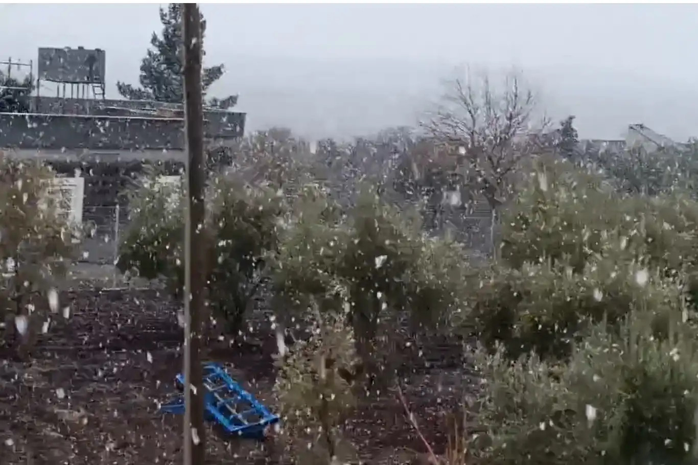 Şanlıurfa Kar Yağışı? Okullar Tatil Mi?