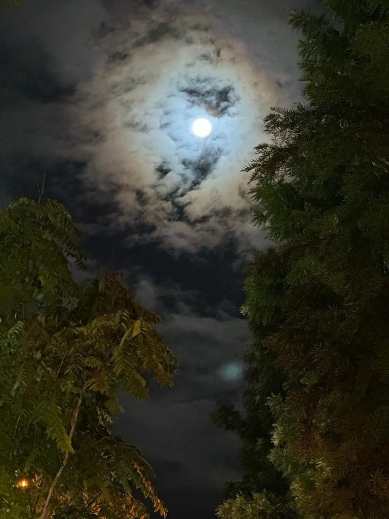 Kadının Susturulmuş Çığlığı: Freud’un Histeri Vakaları ve Bugünün Gerçeği