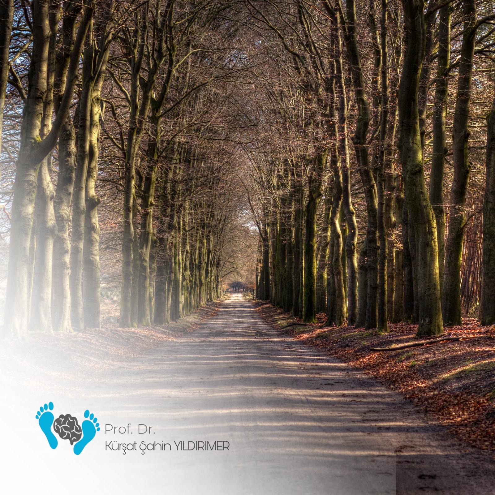 Babasına Yazılmış Ama Aslında Hepimize Hitap Eden Bir Mektup