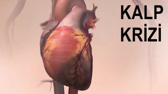 Kalp Krizi Nedir? Neden Olur?