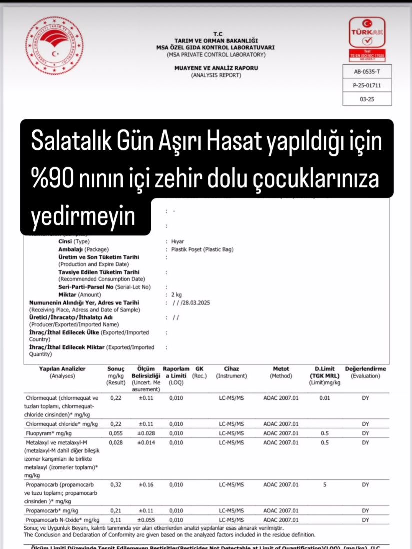 SALATALIKLAR ZEHİR SAÇIYOR