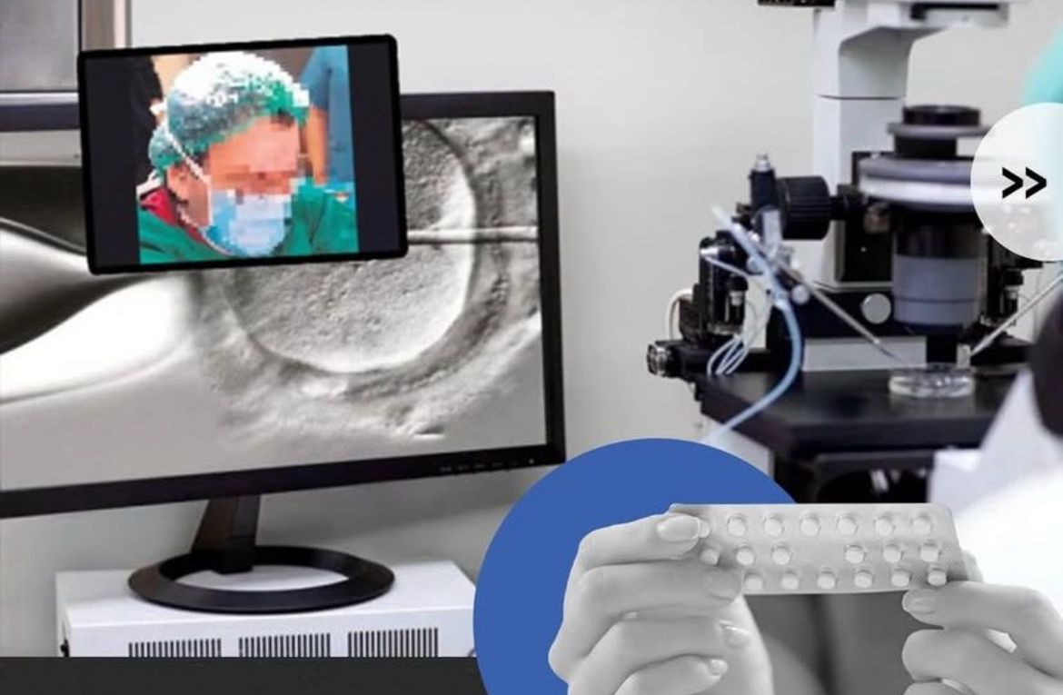 Türkiye’den ABD’ye Yumurta Ticareti