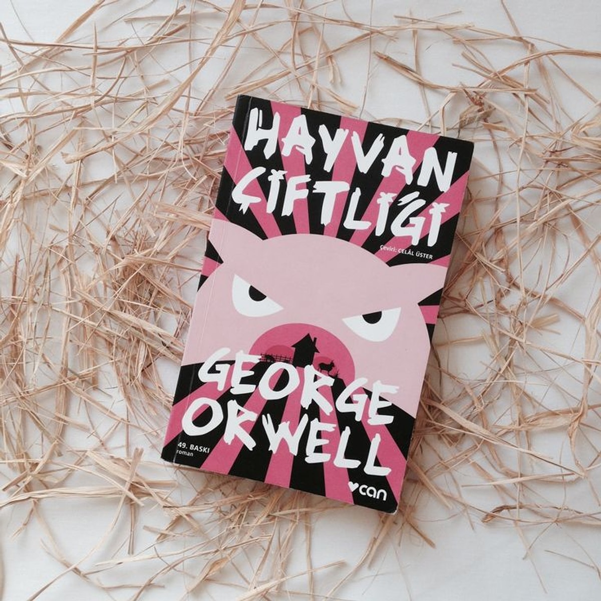 FABL TÜRÜNDE ELEŞTİRİ: HAYVAN ÇİFTLİĞİ