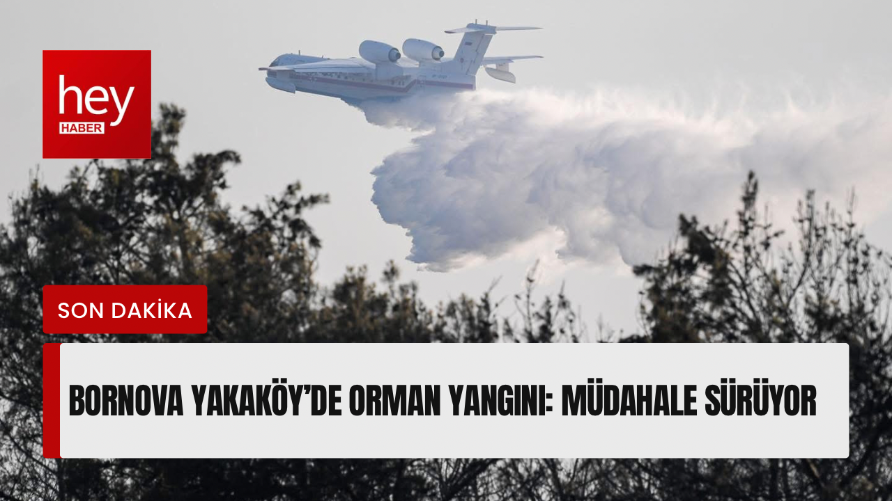 Bornova Yakaköy’de Orman Yangını: Müdahale Sürüyor