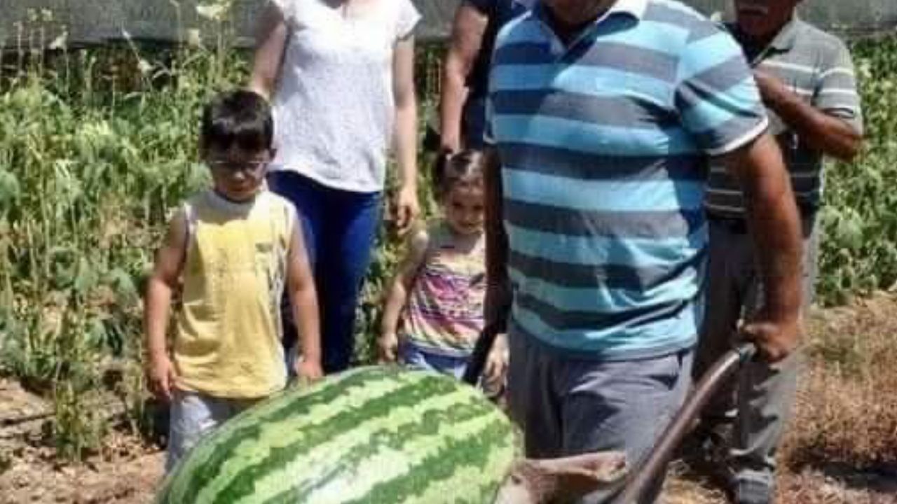 Manavgat’ta dev karpuz! 58 kiloya ulaştı
