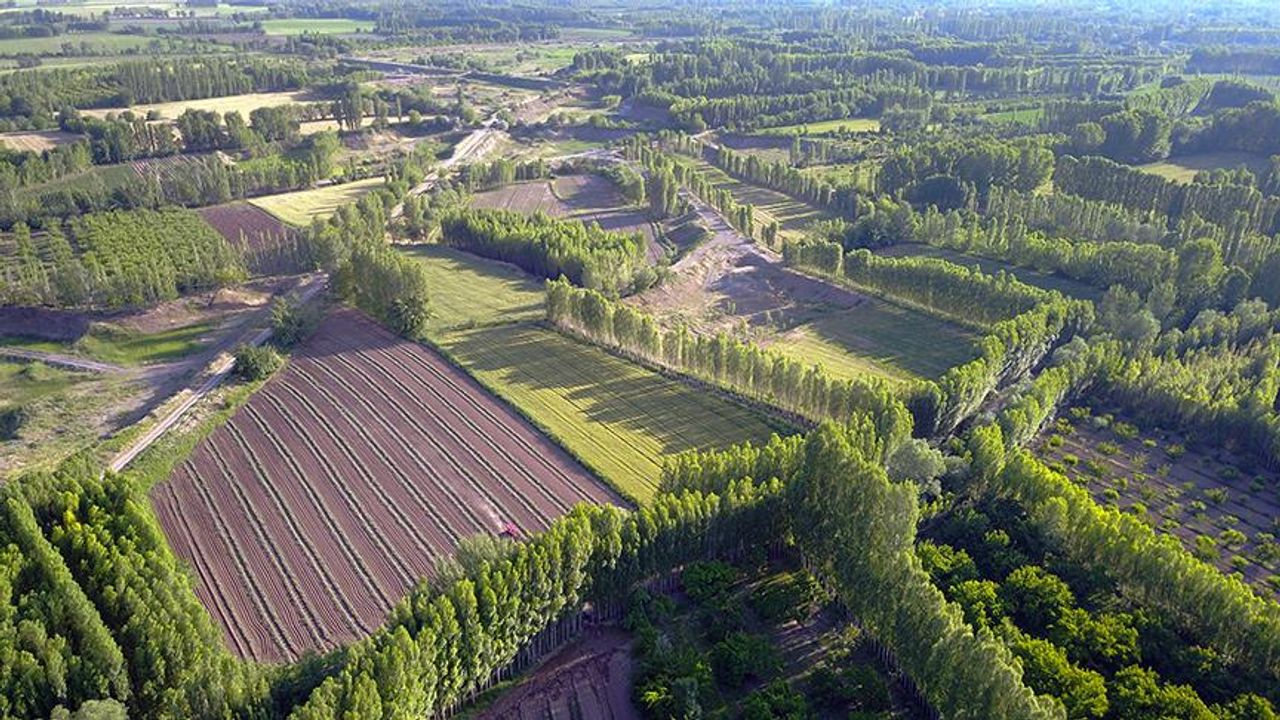 2B arazilerinde mülkiyet hakkı ve tapu süreci başladı