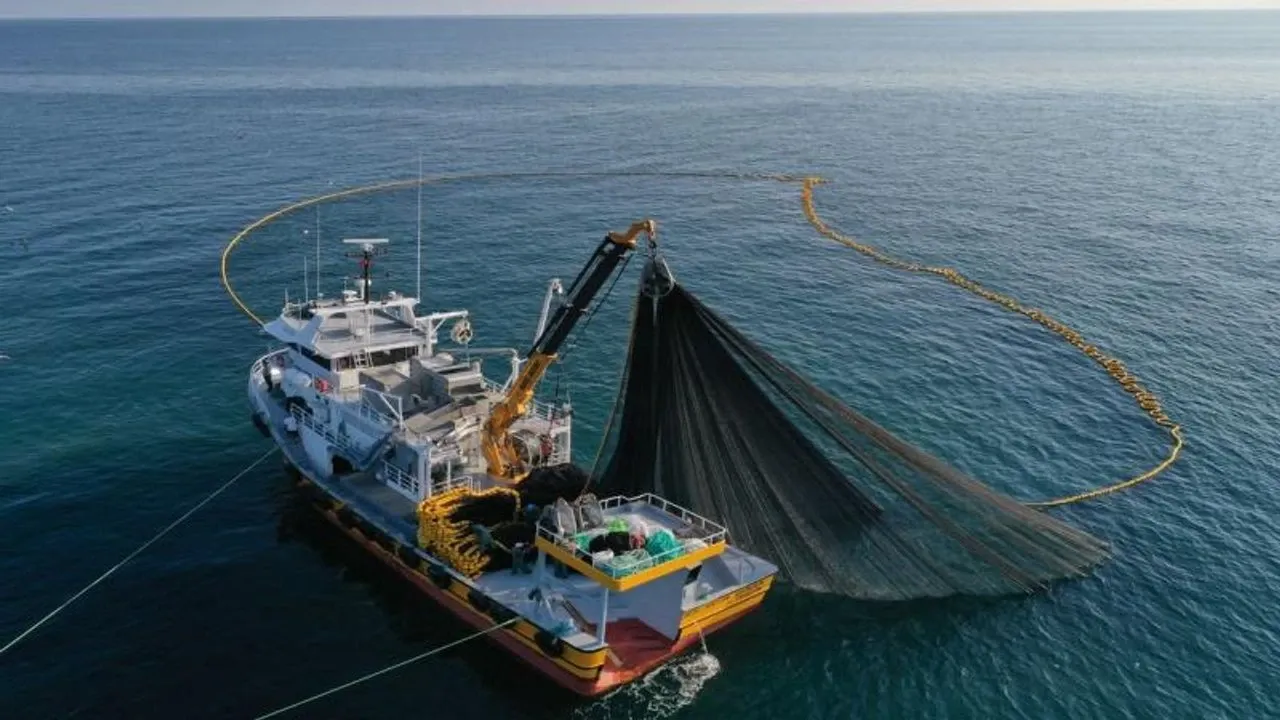 Doğu Karadeniz’in su ürünleri ihracatı 5 ayda 69,8 milyon doları aştı