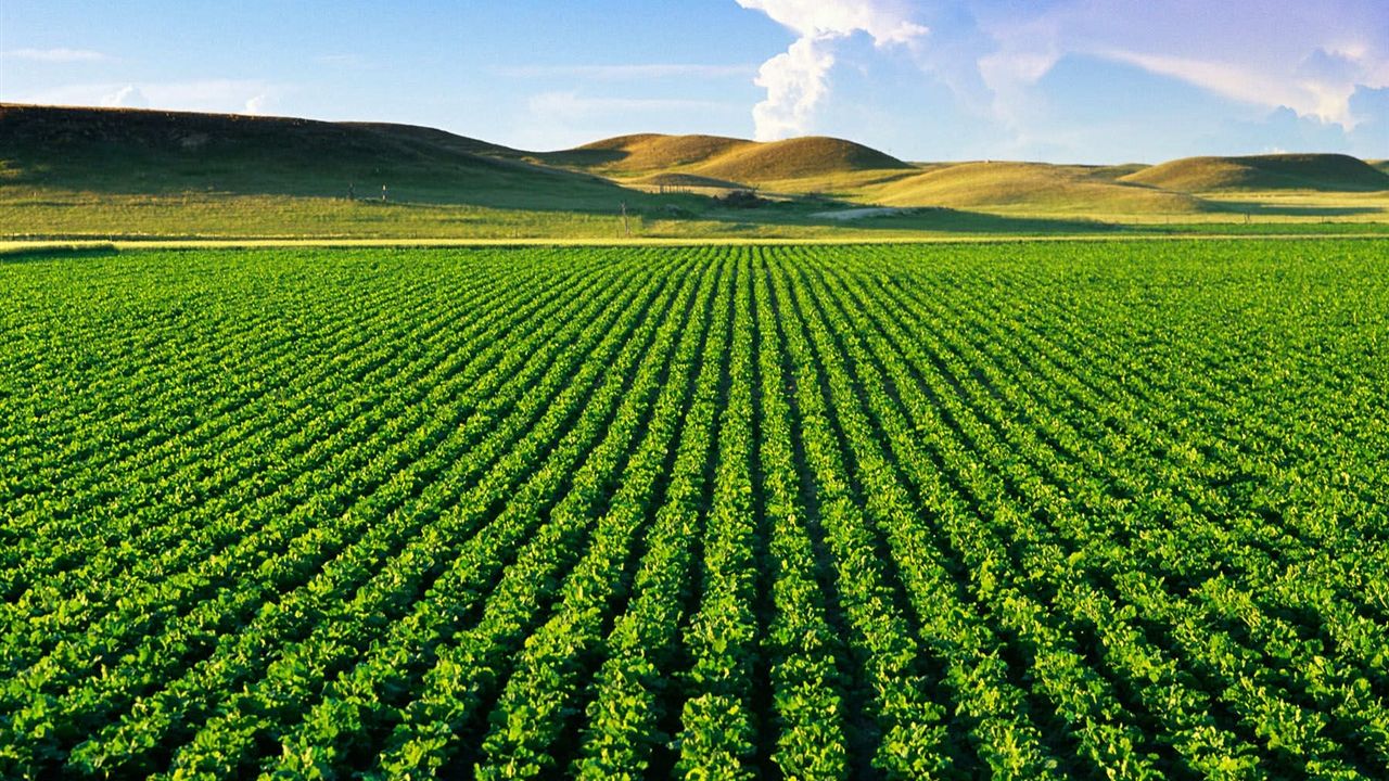 Çiftçilere 5,1 milyar lira destek ödemesi yapılacak