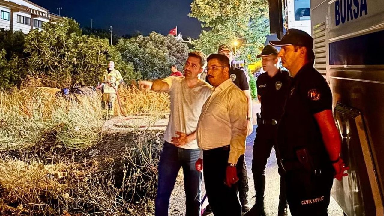 Mudanya Yolu’ndaki yangın kontrol altına alındı! 4 dönüm alan zarar gördü