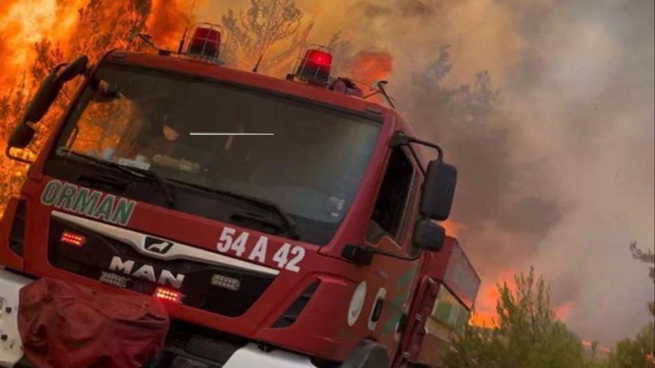 Orman’dan çağrı: ‘Ormanın Kahramanları’na yol verin