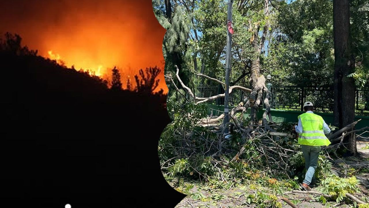 İzmir’de yangın ve fırtınayla mücadele!