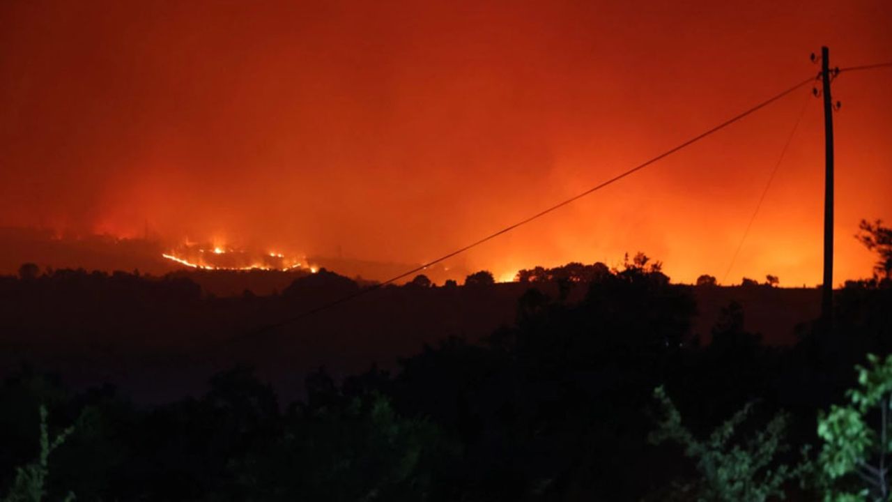 Bilecik’te korkutan orman yangını