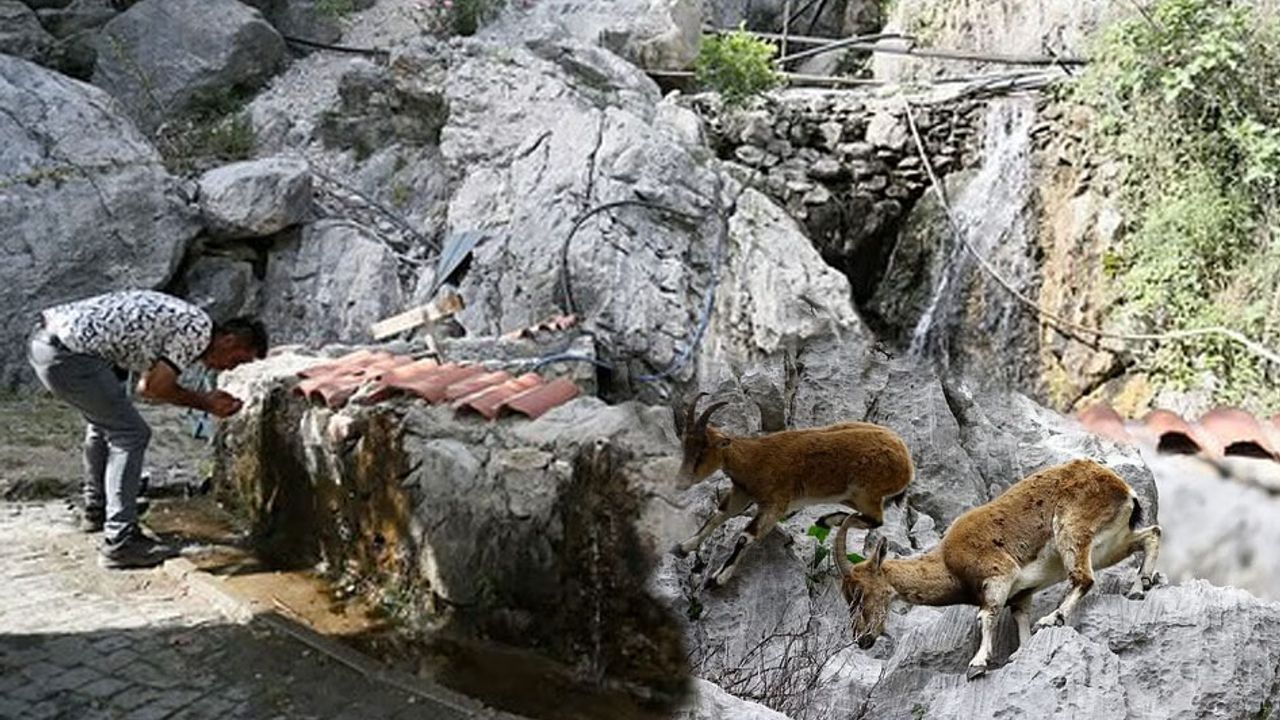 Finike’de kuraklık alarmı: Aykırtça şelalesi kuruyor