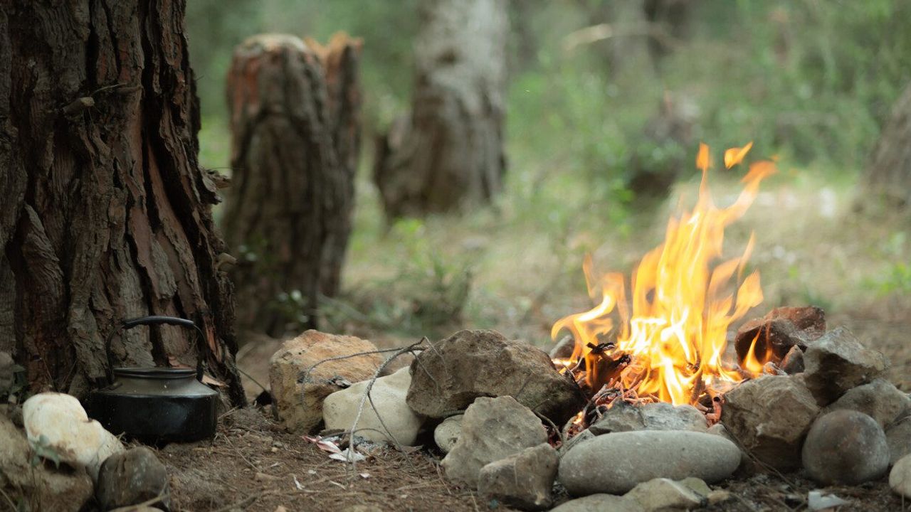 Sarıkamış Soğuksu Tabiat Parkı dışındaki ormanlık alanlara giriş-çıkışlara yasak