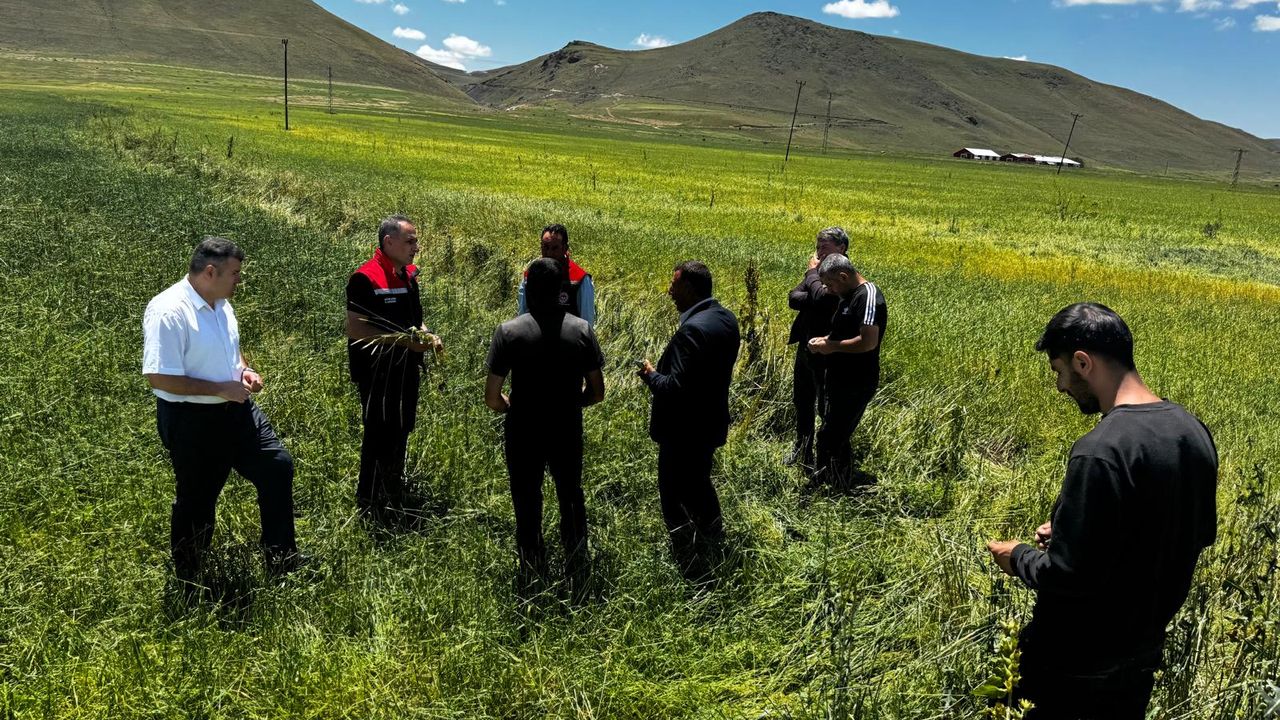 Kars Tarım ve Orman İl Müdürü Enver Aydın, Dolu Zararını Yerinde İnceledi