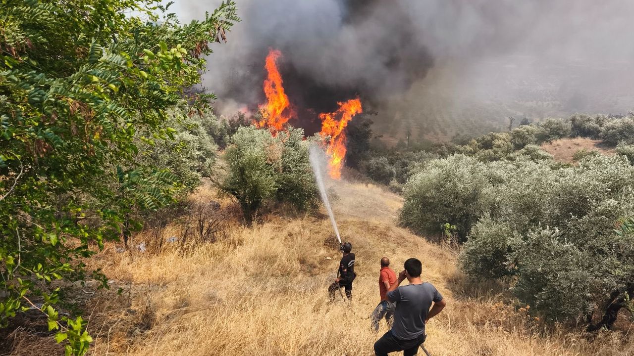 Hatay’da çıkan orman yangını kontrol altına alındı