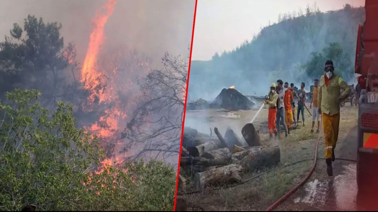 Antalya’da 9 günde 14 orman yangını! 45 hektar alan zarar gördü