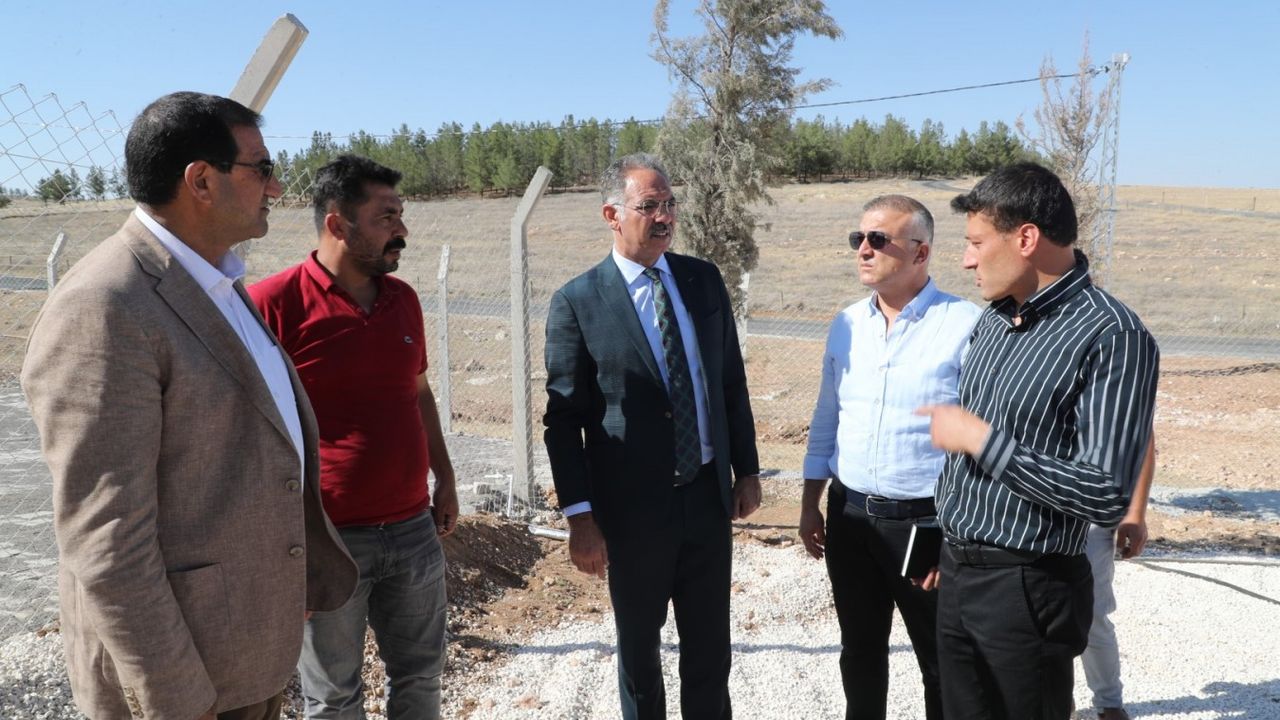 Eyyübiye’de Hayvan Bakımevi hizmete giriyor