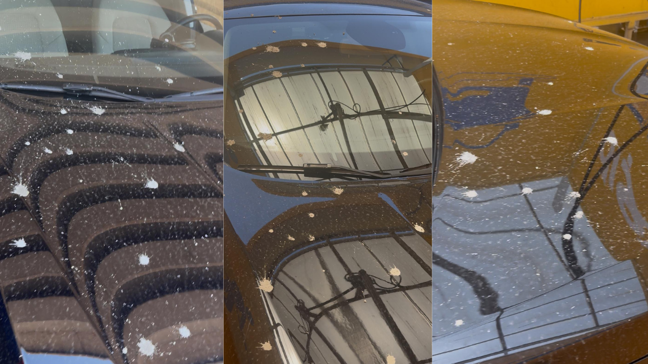 Kepezüstü kavşak inşaatında ihmal; Döküllen beton araçların üzerine saçıldı