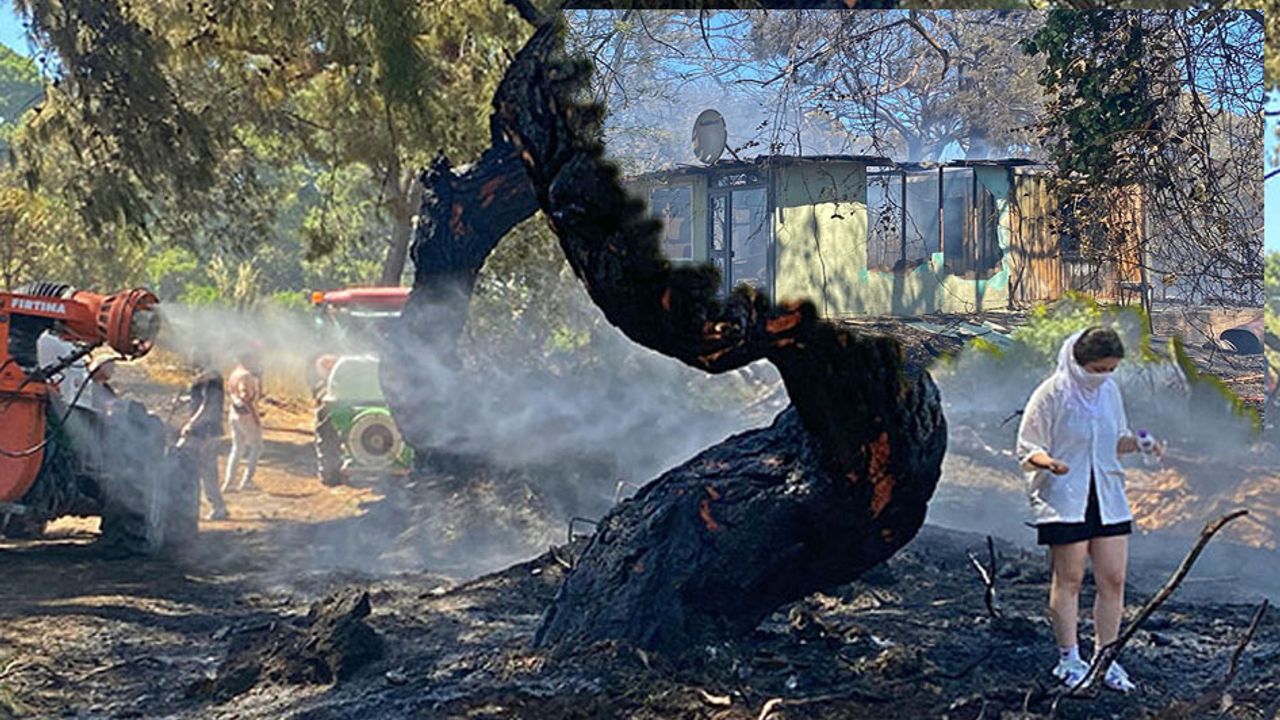 Kahramanlık ve gözyaşı: Antalya’daki yangında hem yürekler hem orman yandı
