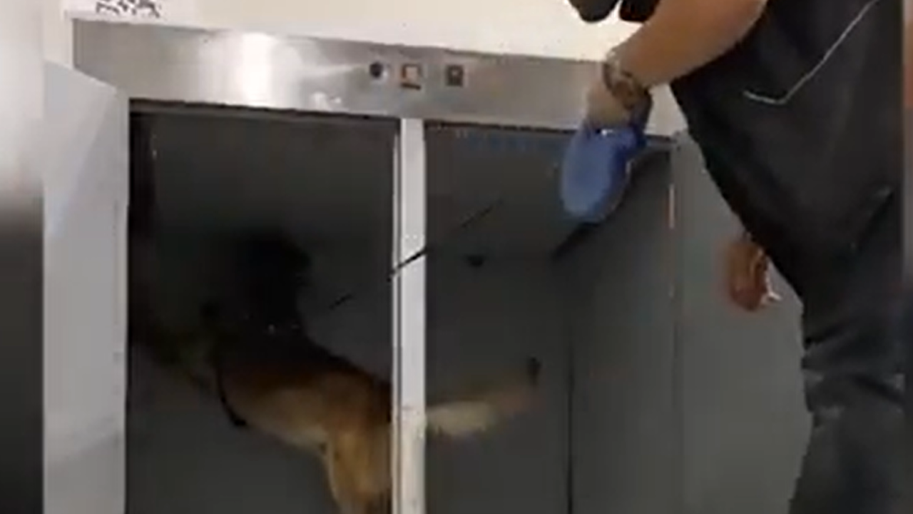 Gümrükten dev operasyon: 1,6 milyar lira uyuşturucu yakalandı