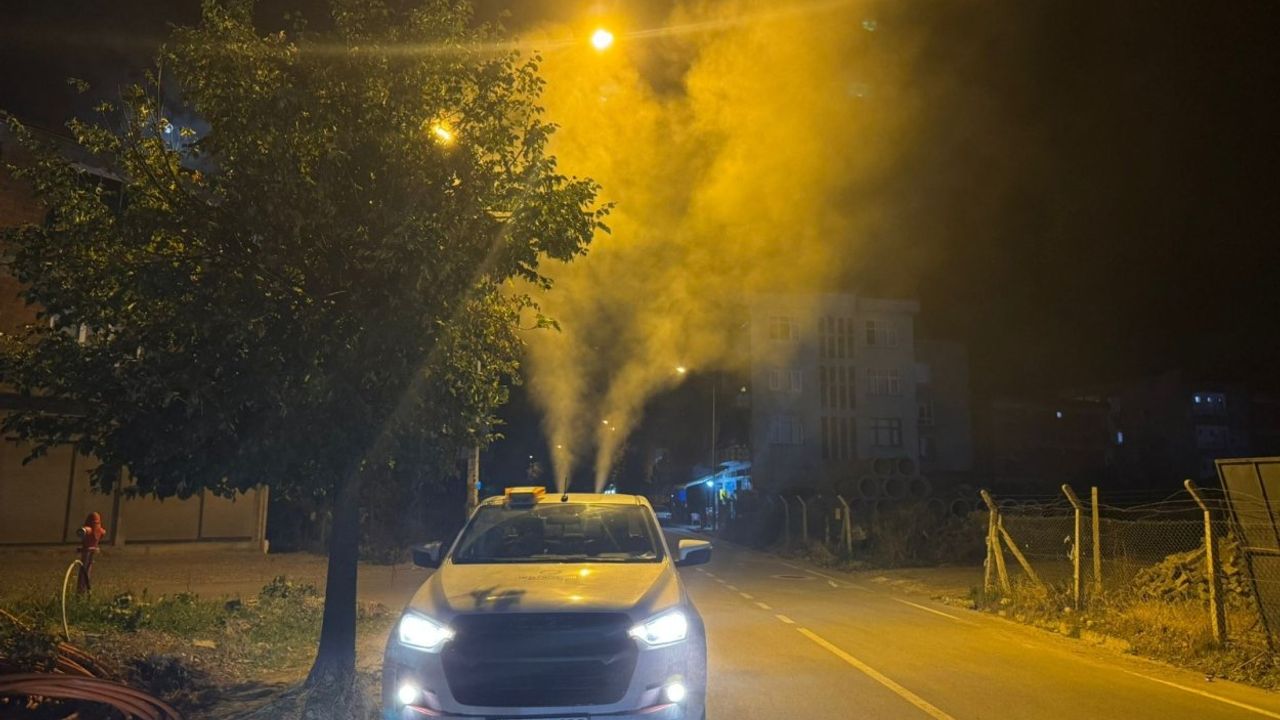 Ordu Büyükşehir sineksiz bir yaz için sahada