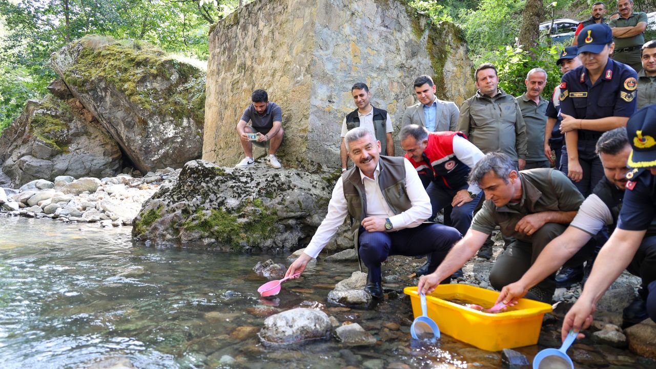 Artvin’de Hatila Vadisi Milli Parkı’ndaki dereye 5 bin alabalık yavrusu bırakıldı